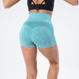 'Ashley' Fitness Shorts